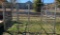 Dog Pen 10x10x6