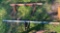 (2) 3PT Tool Bar