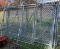 (6) Chain Link 10ft x 6ft Panels
