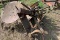 2 Disc Plow