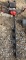 Earthquake Auger