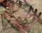 3pt Cultivator
