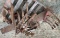Mixed Lot: IH cultivator parts