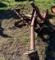 6ft tooth harrow