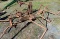 International cultivator frames - 3pc