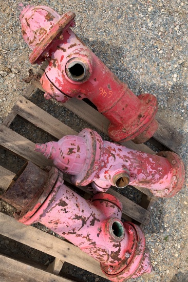 (3) Fire Hydrants