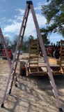 Werner 10ft step ladder