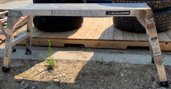 Gorilla Walk Platform