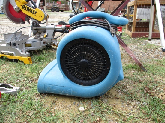 Fan