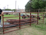 HD 16ft Bull Gate