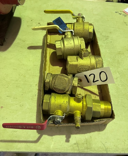 (5) Assorted Brass Ball Valves