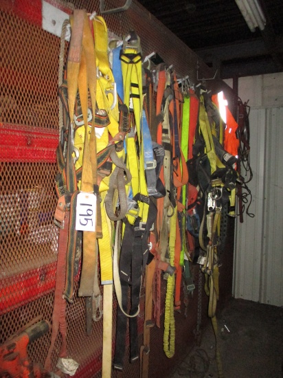 Assorted Safety Harnesses