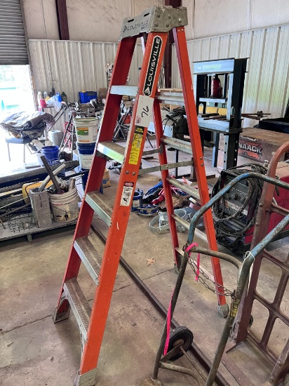 6ft Louisville Ladder