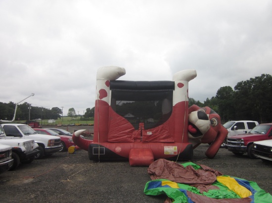 "Mr. Bruce" Bounce House 15x15x15