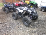 125cc 4 Wheeler - Purple
