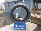 Michelin Tire Display