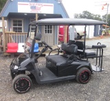 RZ GO RXV Golf Cart 48 Volt