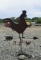 Rooster Weathervane