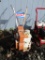 Maxim 5hp Chain Drive Tiller