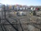 10x10x4 Chainlink Kennel