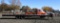 2021 Load Trail 8'x30' Dual Axle Trailer VIN 1738