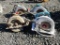 (4) Circular Saws