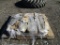 (10) Case Lag Bolts