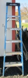 6ft Werner Ladder