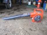Echo Blower