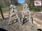 Articulating Ladder