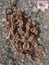 24ft Chain