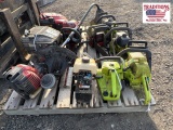 Assorted Chainsaws/Weedeaters/Motors