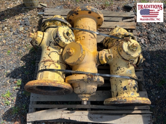 3 Yellow Fire Hydrants