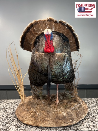 Turkey Mount 22"x30"x20"