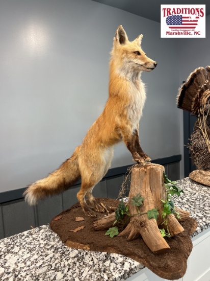 Fox Mount 18"x25"x31"