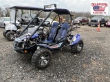 Trail Master Blazer 200 EX