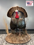 Turkey Mount 22