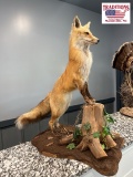 Fox Mount 18