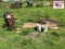 (3) Buckets Bolts / (2) Chainlink Gates / Barrel