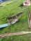 Mixed Lot: