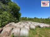 Hay