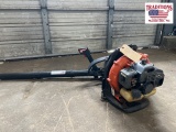 Echo Backpack Blower
