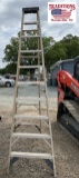 Werner 12ft Ladder