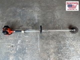 Echo Weedeater with Blade attachment