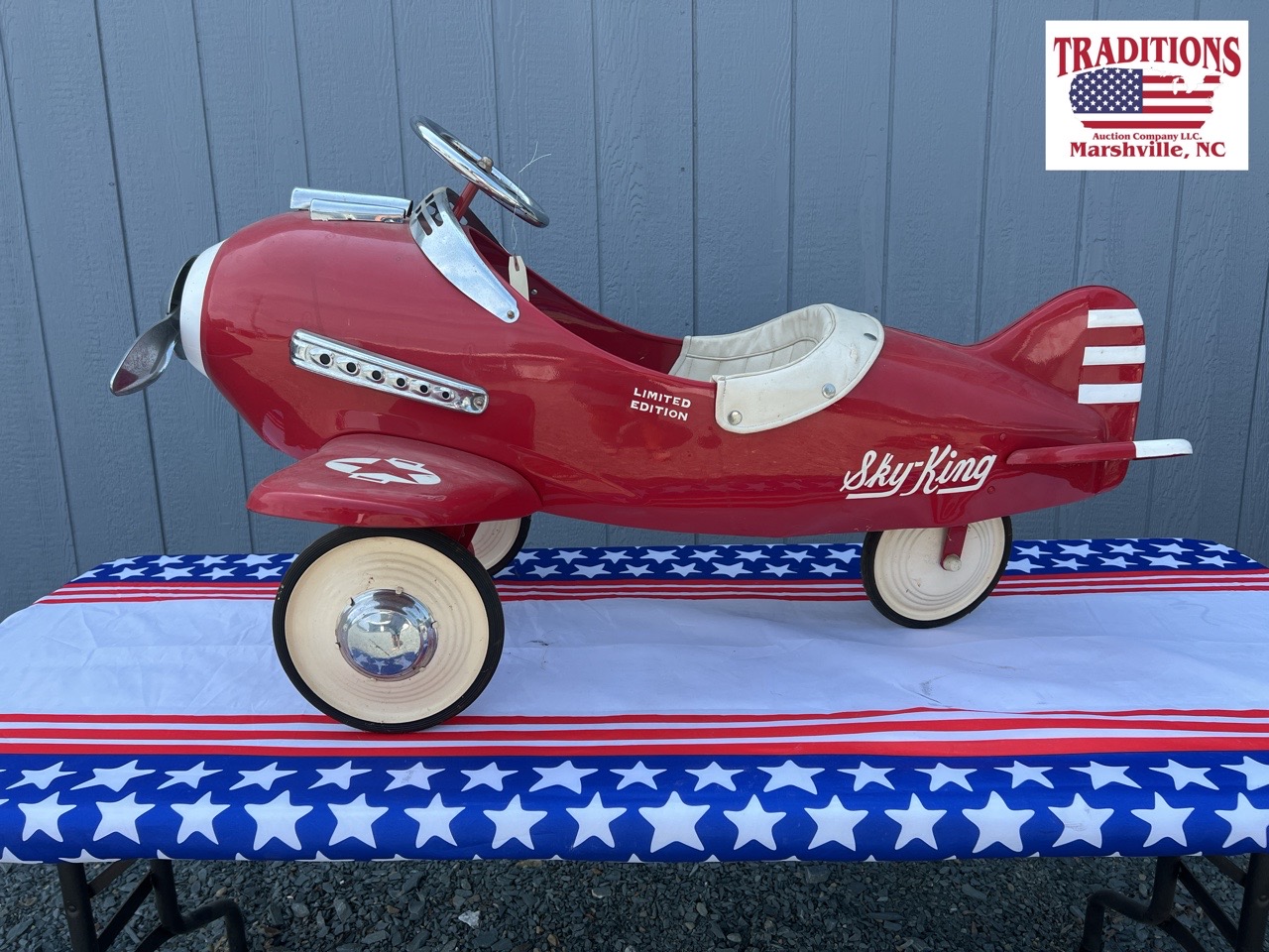 Sky king cheap pedal plane