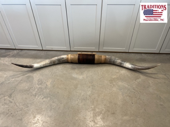 Cattle Horns 70 1/2 inches