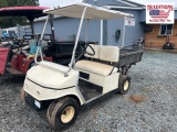 Gas Golf Cart w Utility Style Bed - Suzuki Motor
