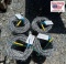 (4) Spools of Barbwire