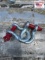 Set of (2) Screw Pin Anchor Shackles