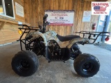 2020 125 TAO 4 Wheeler